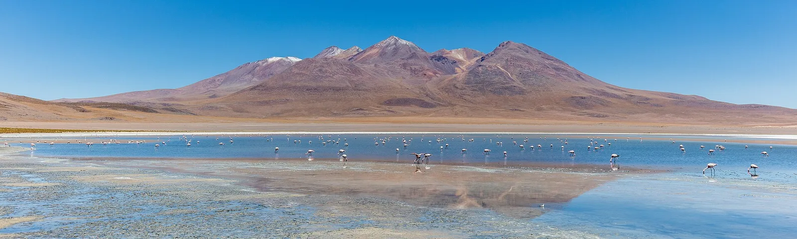 Laguna Colorada