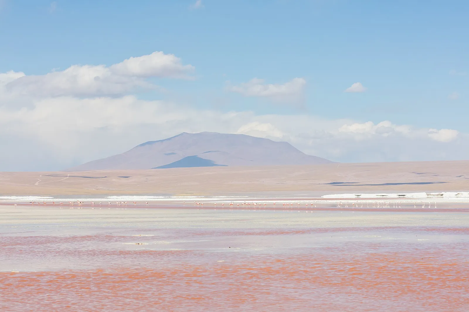 Laguna Colorada